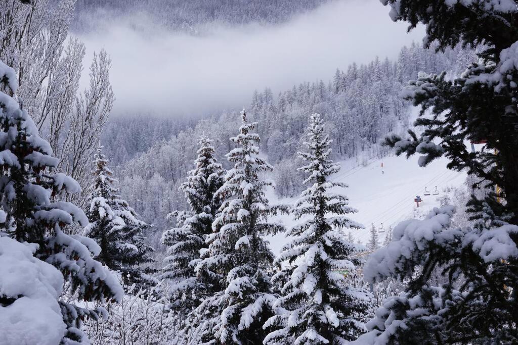 Serre Chevalier,Chantemerle,T2 Proche Pistes Saint-Chaffrey Kültér fotó